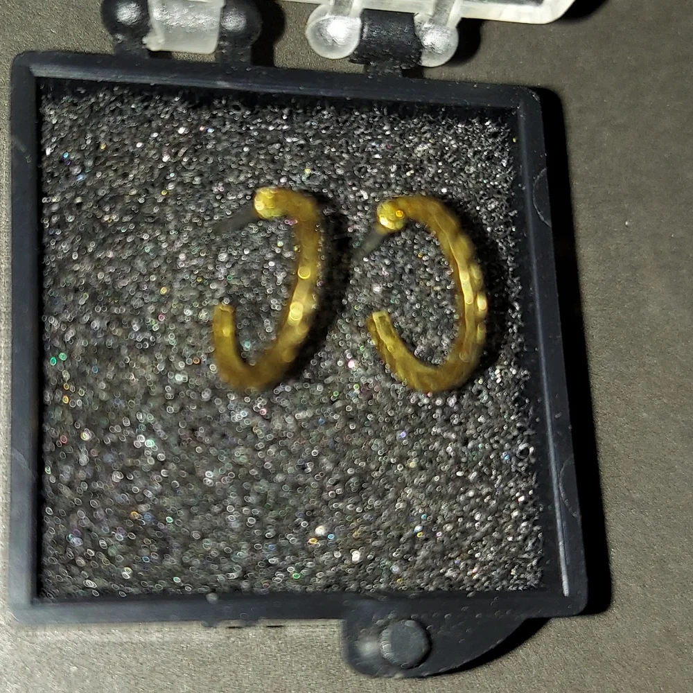 Small loop earings